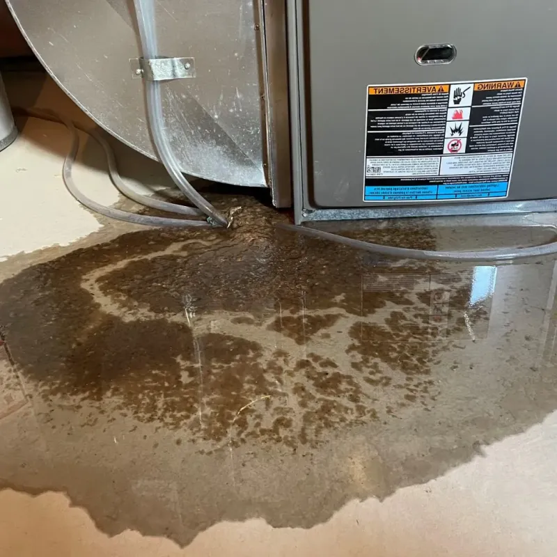 Pipe Burst and Leak Restoration in Union County, NJ